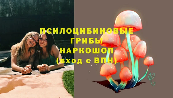 PSILOCYBIN Арсеньев