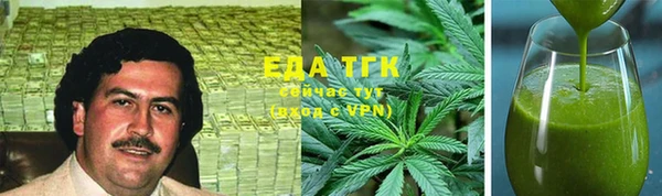 ГАЛЛЮЦИНОГЕННЫЕ ГРИБЫ Аркадак
