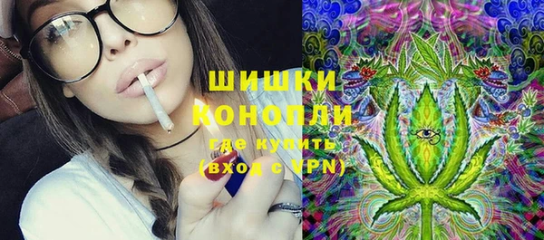 ГАЛЛЮЦИНОГЕННЫЕ ГРИБЫ Аркадак
