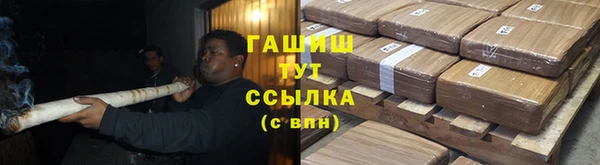 ГАЛЛЮЦИНОГЕННЫЕ ГРИБЫ Аркадак