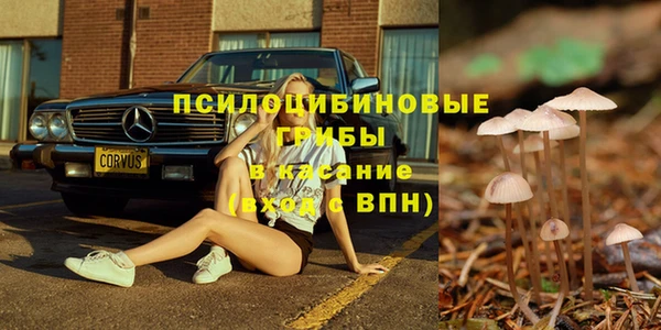 PSILOCYBIN Арсеньев