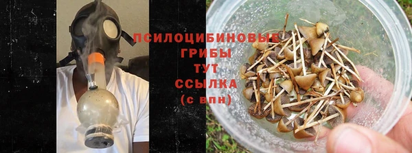 ГАЛЛЮЦИНОГЕННЫЕ ГРИБЫ Аркадак