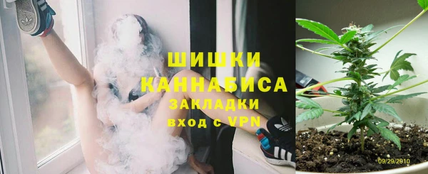 PSILOCYBIN Арсеньев