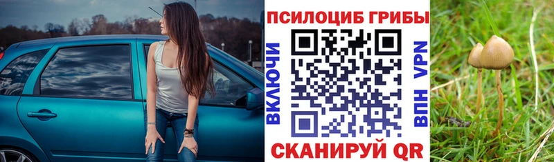 OMG онион Покачи Галлюциногенные грибы мицелий даркнет сайт